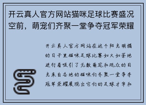 开云真人官方网站猫咪足球比赛盛况空前，萌宠们齐聚一堂争夺冠军荣耀